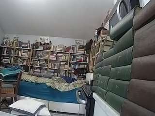 voyeurcam bridgetleewalters 02